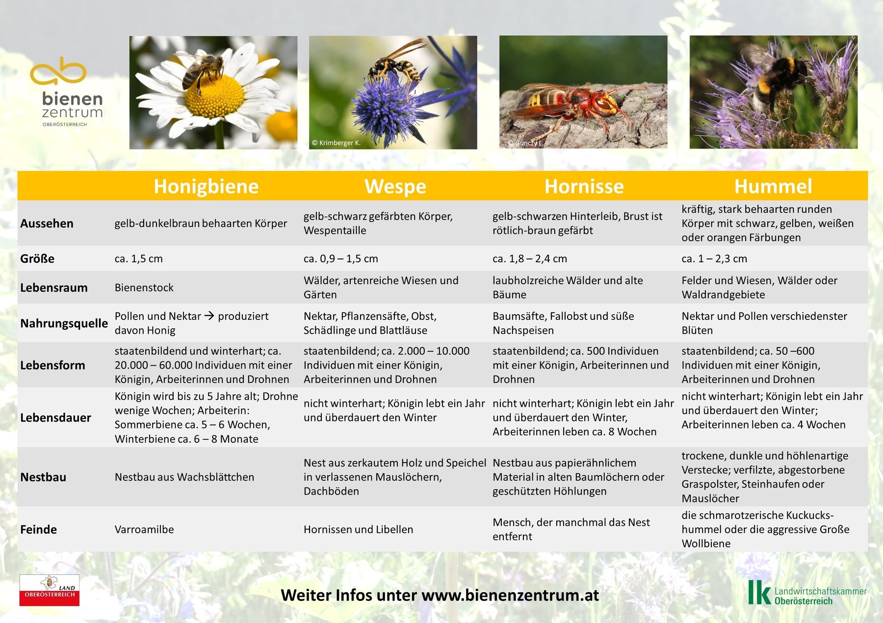 Poster Steckbrief .jpg Poster Steckbrief .jpg