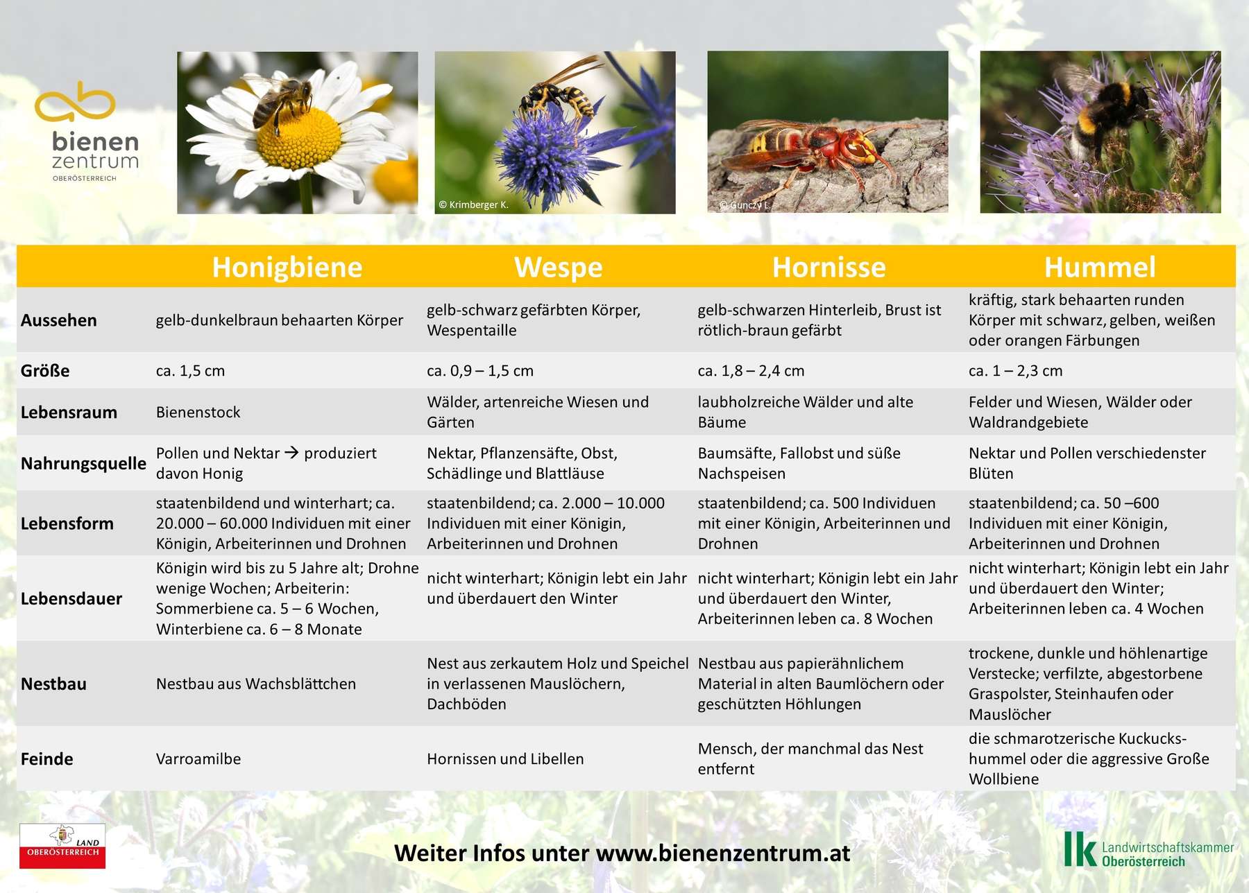 Poster Steckbrief .jpg Poster Steckbrief .jpg