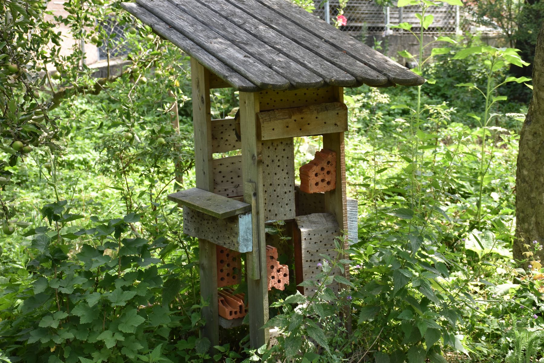Wildbienenhotel, Bienenzentrum OÖ.jpg