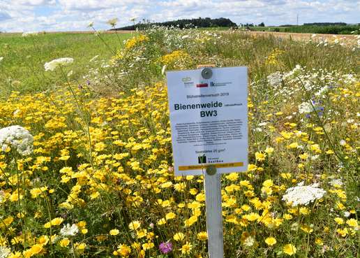 BW 3 mehrjährige Bienenweide der Kärntner Saatbau.jpg BW 3 mehrjährige Bienenweide der Kärntner Saatbau.jpg