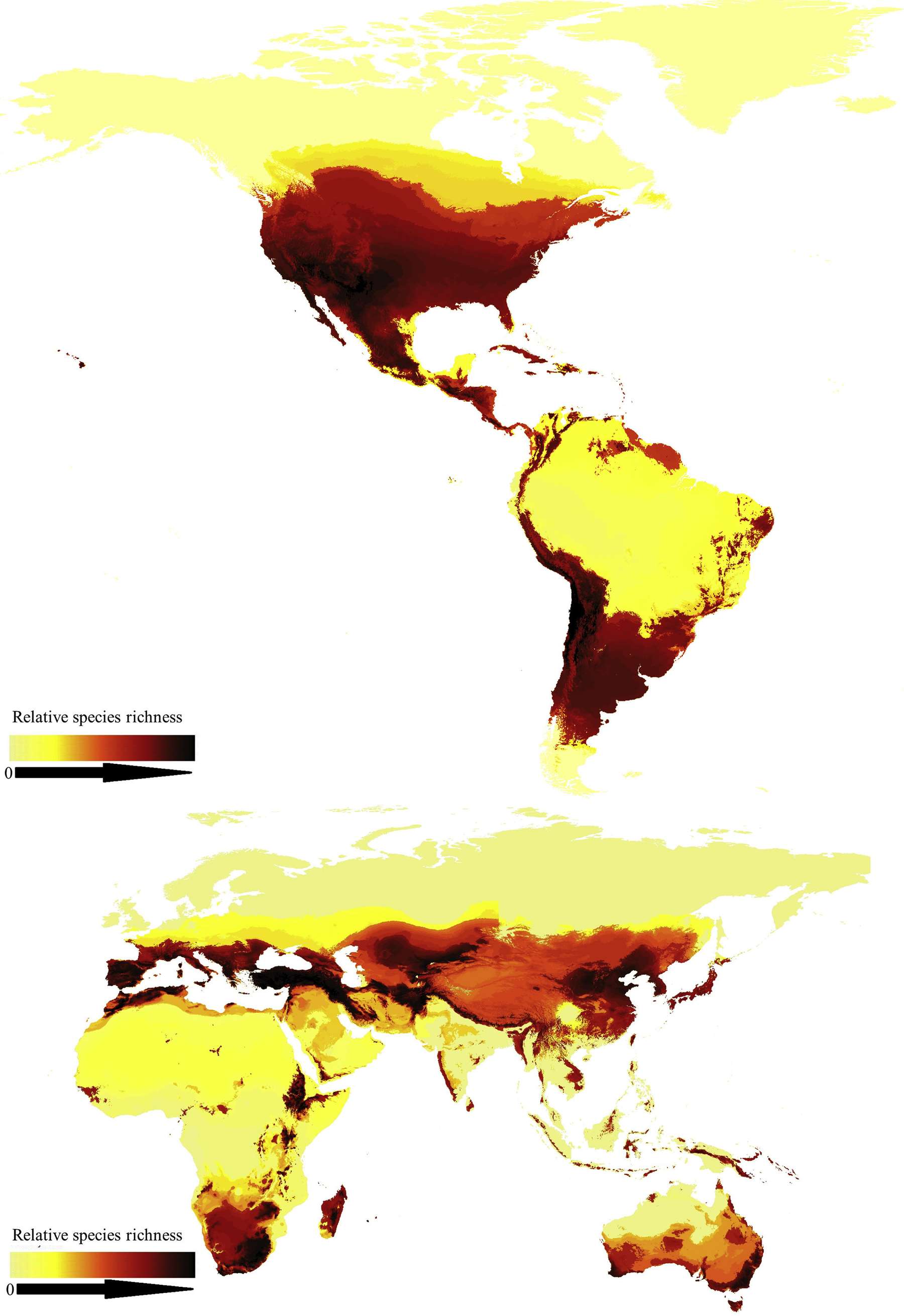 Globale Verteilung der Bienen-Vielfalt © Michael C. Orr, Alice C. Hughes Globale Verteilung der Bienen-Vielfalt © Michael C. Orr, Alice C. Hughes