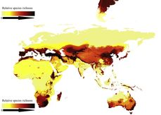 Globale Verteilung der Bienen-Vielfalt © Michael C. Orr, Alice C. Hughes