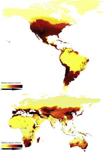 Globale Verteilung der Bienen-Vielfalt © Michael C. Orr, Alice C. Hughes Globale Verteilung der Bienen-Vielfalt © Michael C. Orr, Alice C. Hughes
