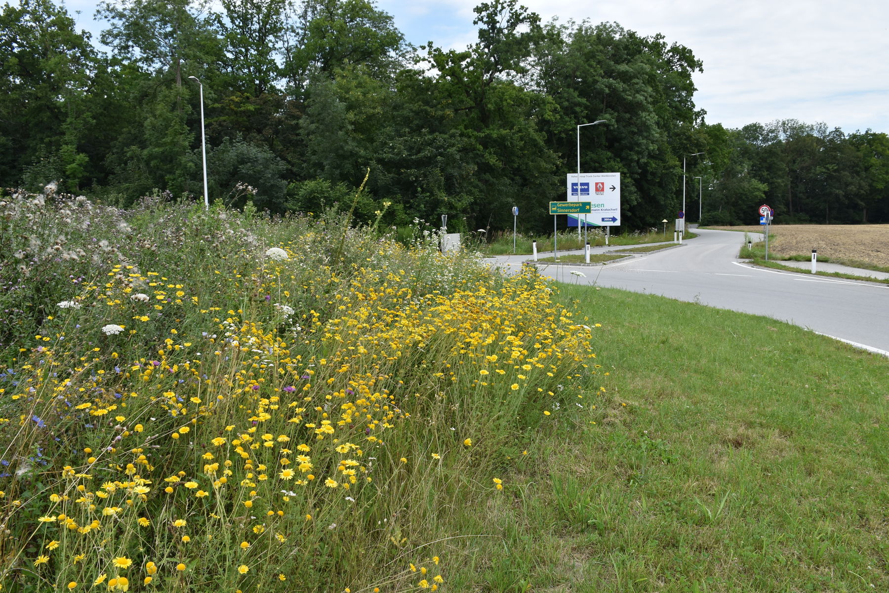 Kreisverkehr Machtrenk .jpg Kreisverkehr Machtrenk .jpg