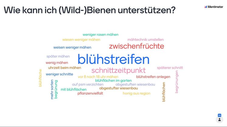 Word-Cloud Meisterkurs Ried.jpg Word-Cloud Meisterkurs Ried.jpg