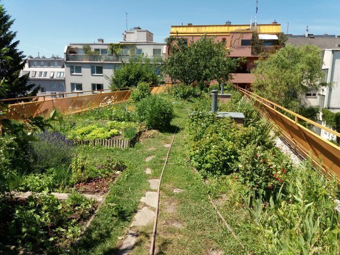 Dachbegrünung.jpg Dachbegrünung.jpg