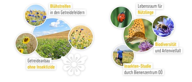 Grafik Homepage.jpg Grafik Homepage.jpg