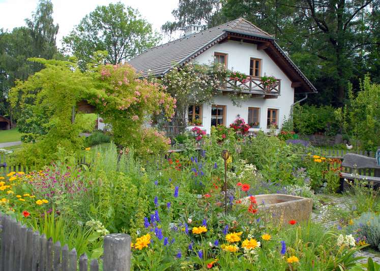 Bunte Vielfalt © OÖ Gärtner Bunte Vielfalt © OÖ Gärtner