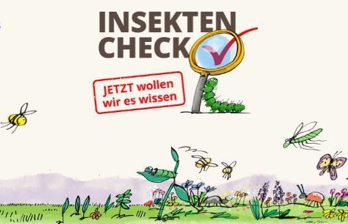 Insektencheck.jpg Insektencheck.jpg