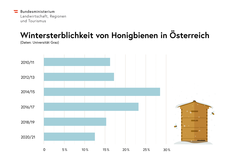 Wintersterblichkeit von Honigbienen in Österreich Universität Graz.png