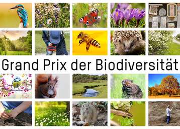 Grand Prix der Biodiversität.jpg