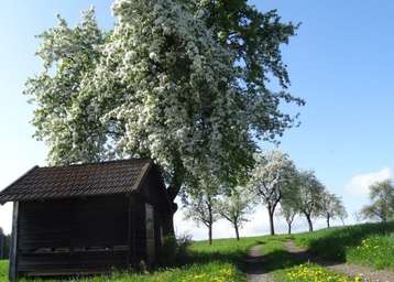 Das Bienenzentrum OÖ und die LK OÖ leisten wichtige Aufklärungsarbeit zu den Themen Bienen, Pflanzenschutz und Landwirtschaft..jpg