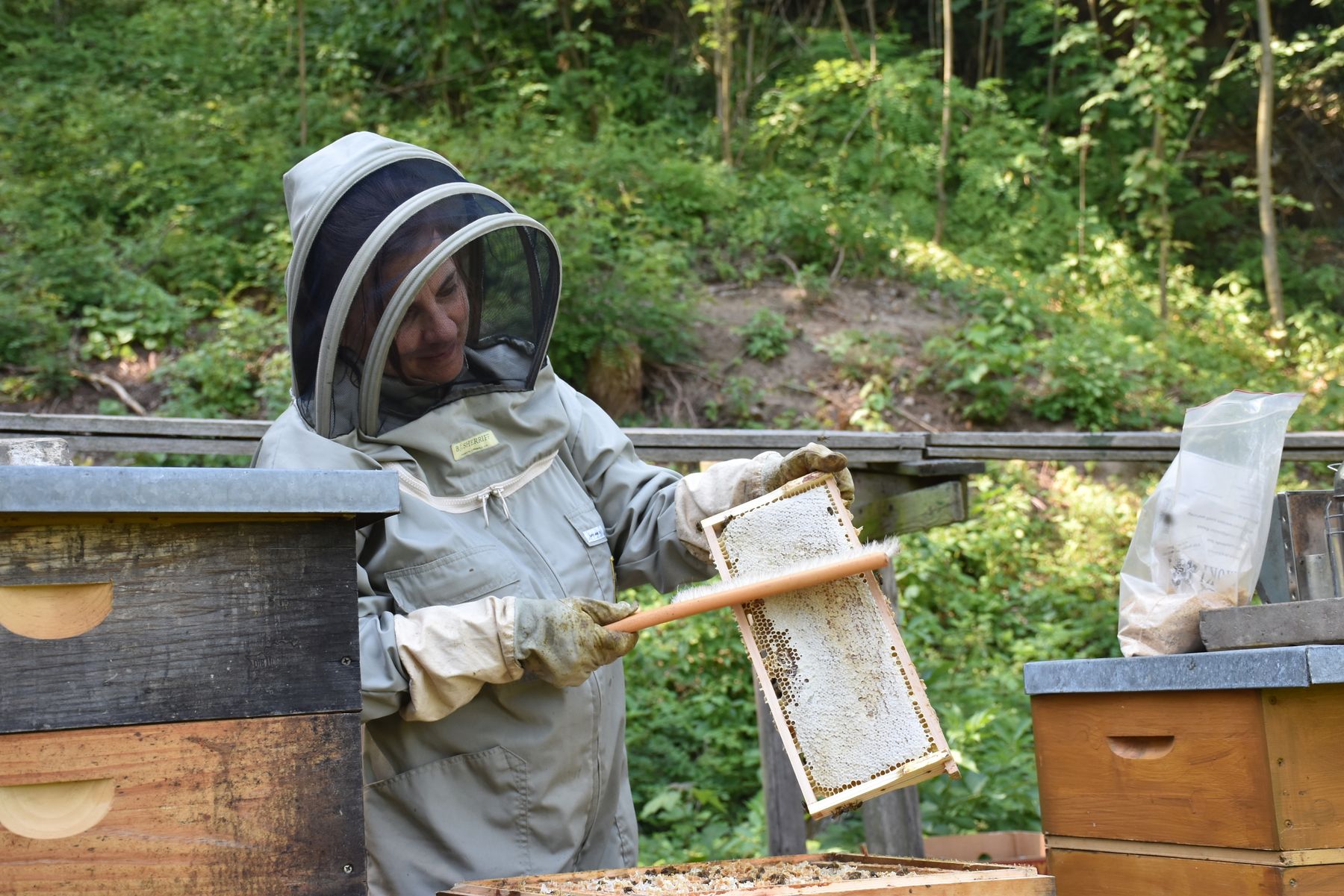 Imkerin Martina beim Honigraum aufsetzen. © Bienenzentrum OÖ Imkerin Martina beim Honigraum aufsetzen. © Bienenzentrum OÖ