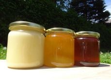 Regionale Honigspezialitäten Creme-Honig, Blütenhonig, Waldhonig (v.l.n.r.) © Bienenzentrum OÖ