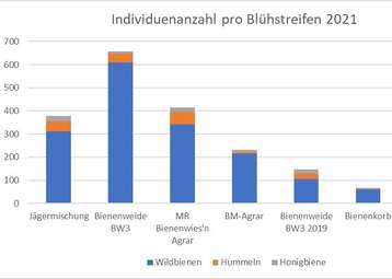 Individuenzahl pro Blühstreifen 2021.jpg Individuenzahl pro Blühstreifen 2021.jpg