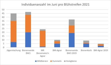 Individuenzahl pro Blühstreifen im Mai 2021.jpg Individuenzahl pro Blühstreifen im Mai 2021.jpg