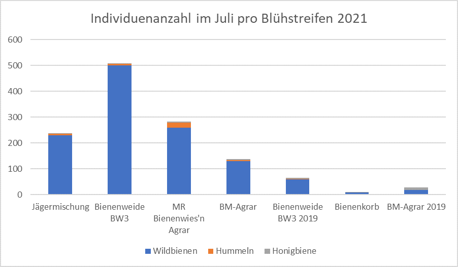 Im Juli 2021 wurden bei Begehung ingesamt 1268 Individuen, davon 1.207 Wildbienen, gezählt!.png