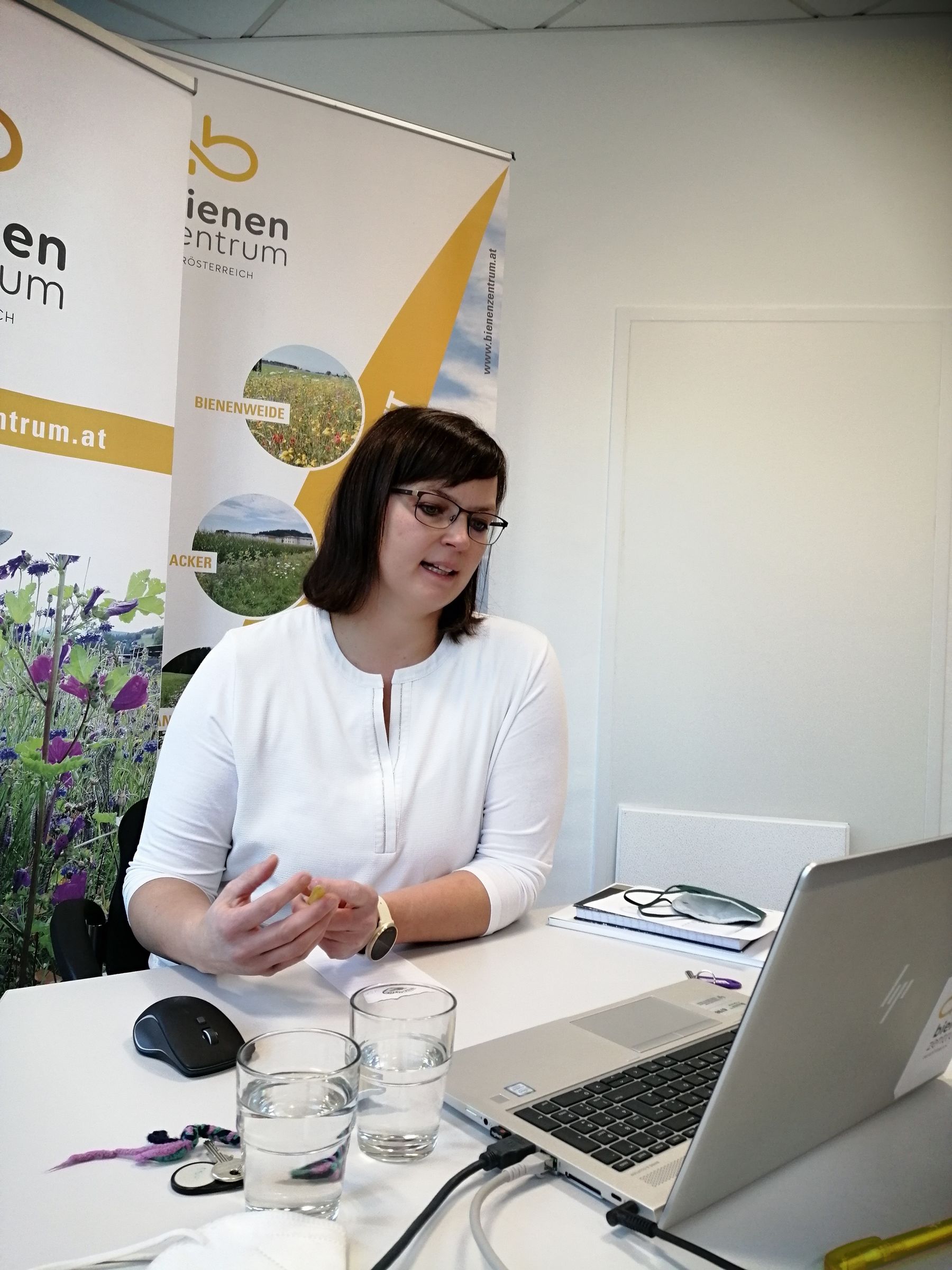 Elisabeth Lanzer beim Präsentieren..jpg Elisabeth Lanzer beim Präsentieren..jpg