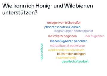 Ergebnisse einer Umfrage im Meisterkurs zum Thema- Wie kann ich Honig- und Wildbienen unterstützen- .jpg