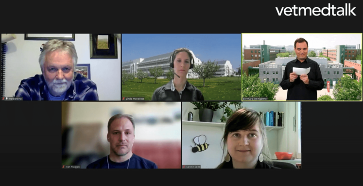 Expert*innenrunde diskutierte über „Vögel, Bienen und der Klimawandel“  © Vetmeduni Expert*innenrunde diskutierte über „Vögel, Bienen und der Klimawandel“  © Vetmeduni