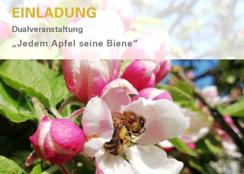 Einladung Jedem Apfel seine Biene Bienenzentrum OÖ.jpg Einladung Jedem Apfel seine Biene Bienenzentrum OÖ.jpg