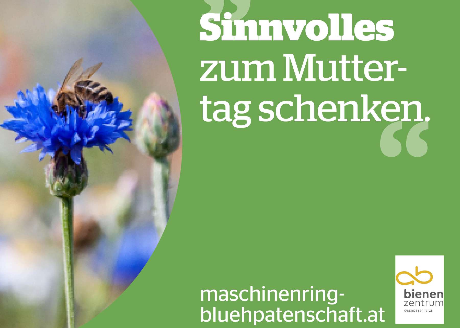 Muttertag Blühpatenschaft.jpg Muttertag Blühpatenschaft.jpg