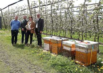 .l.: Andreas Platzer (Imkerschule Südtirol), Franz Allerstorfer (Oö. Obstbauern), Agrar-Landesrätin Michaela Langer-Weninger und LK-OÖ-Präsident Franz Waldenberger..jpg