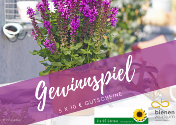 Gewinnspiel Weltbienentag 2022.png Gewinnspiel Weltbienentag 2022.png