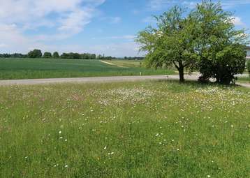 Biodiversität.jpg Biodiversität.jpg