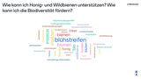 Biodiversitätstag St. Florian.jpg Biodiversitätstag St. Florian.jpg