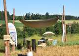 Stand des Bienenzentrums OÖ neben den herrlichen Blühflächen..jpg Stand des Bienenzentrums OÖ neben den herrlichen Blühflächen..jpg