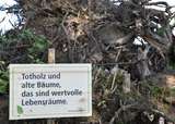 Info-Schilder zur Aufklärung zur Biodiversität.jpg Info-Schilder zur Aufklärung zur Biodiversität.jpg