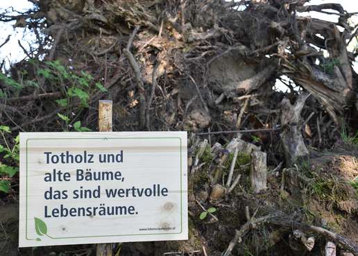 Info-Schilder zur Aufklärung zur Biodiversität.jpg Info-Schilder zur Aufklärung zur Biodiversität.jpg