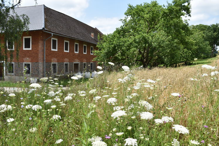 Hof von Nikolaus Stiebitzhofer.jpg Hof von Nikolaus Stiebitzhofer.jpg