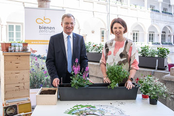 Landeshauptmann Mag. Thomas Stelzer und Agrar-Landerätin Michaela Langer-Weninger pflanzen bienenfreundliche Pflanzen.jpg