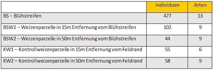 Tabelle - Ergebnisse im Überblick.jpg Tabelle - Ergebnisse im Überblick.jpg