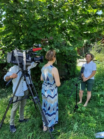 Erwerbsimkerin und Fachbeirätin des Bienenzentrums OÖ Ingrid Schmaranzer im Interview mit dem ORF..jpg