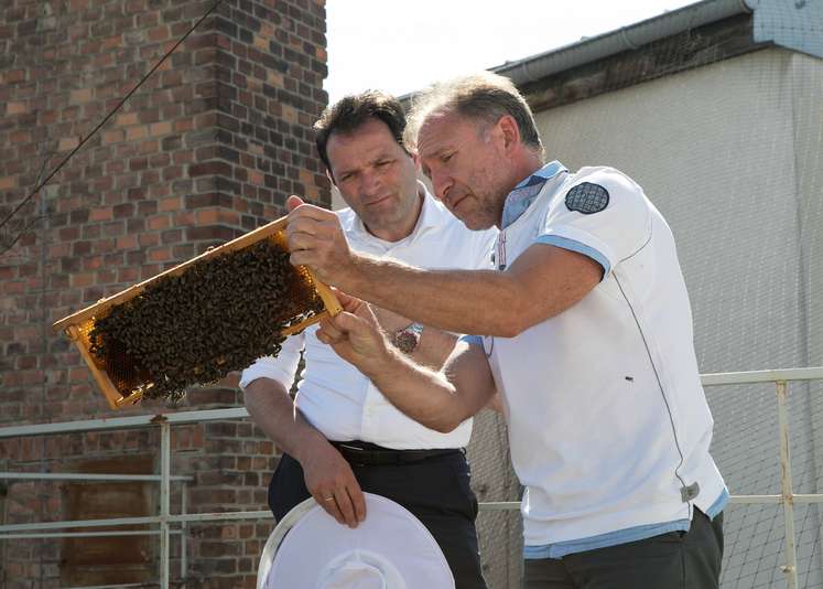 Landwirtschaftsminister Norbert Totschnig mit Imker Harald Hör auf dem Dach des Landwirtschaftsministeriums..jpg Landwirtschaftsminister Norbert Totschnig mit Imker Harald Hör auf dem Dach des Landwirtschaftsministeriums..jpg