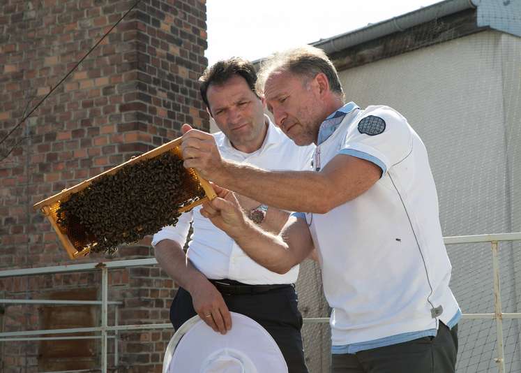 Landwirtschaftsminister Norbert Totschnig mit Imker Harald Hör auf dem Dach des Landwirtschaftsministeriums..jpg