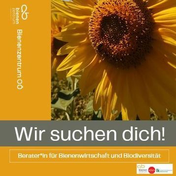 Wir suchen dich!.jpg Wir suchen dich!.jpg