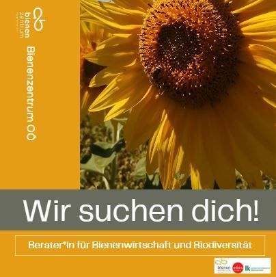Wir suchen dich!.jpg Wir suchen dich!.jpg