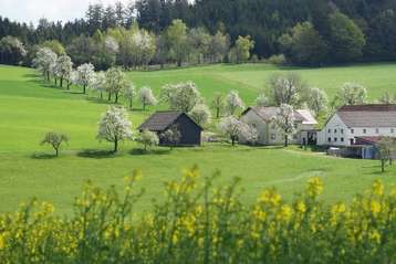 Biodiversität rund um den Hof.jpg Biodiversität rund um den Hof.jpg
