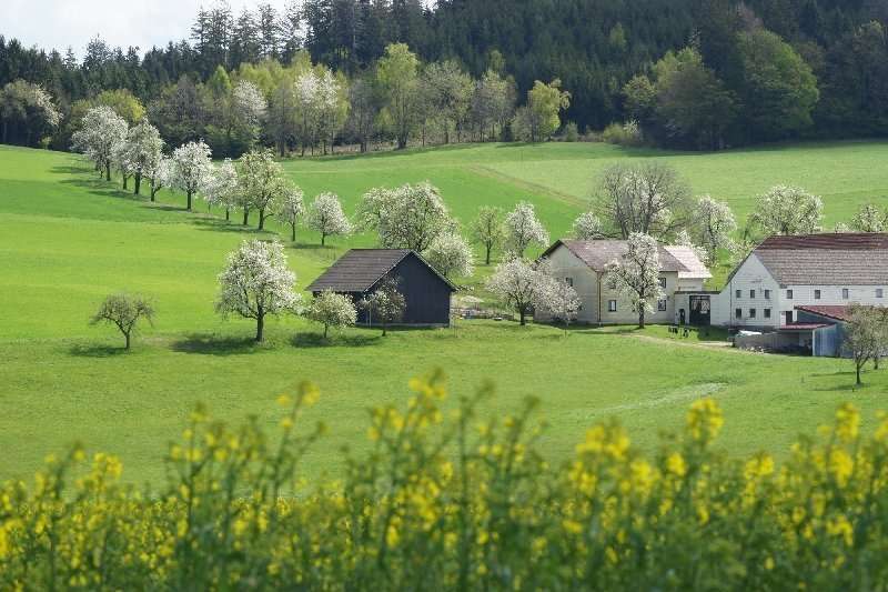Biodiversität rund um den Hof.jpg Biodiversität rund um den Hof.jpg