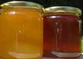 Regionale Honigspezialitäten Regionale Honigspezialitäten