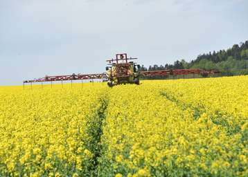 Pflanzenschutz im Raps.jpg Pflanzenschutz im Raps.jpg