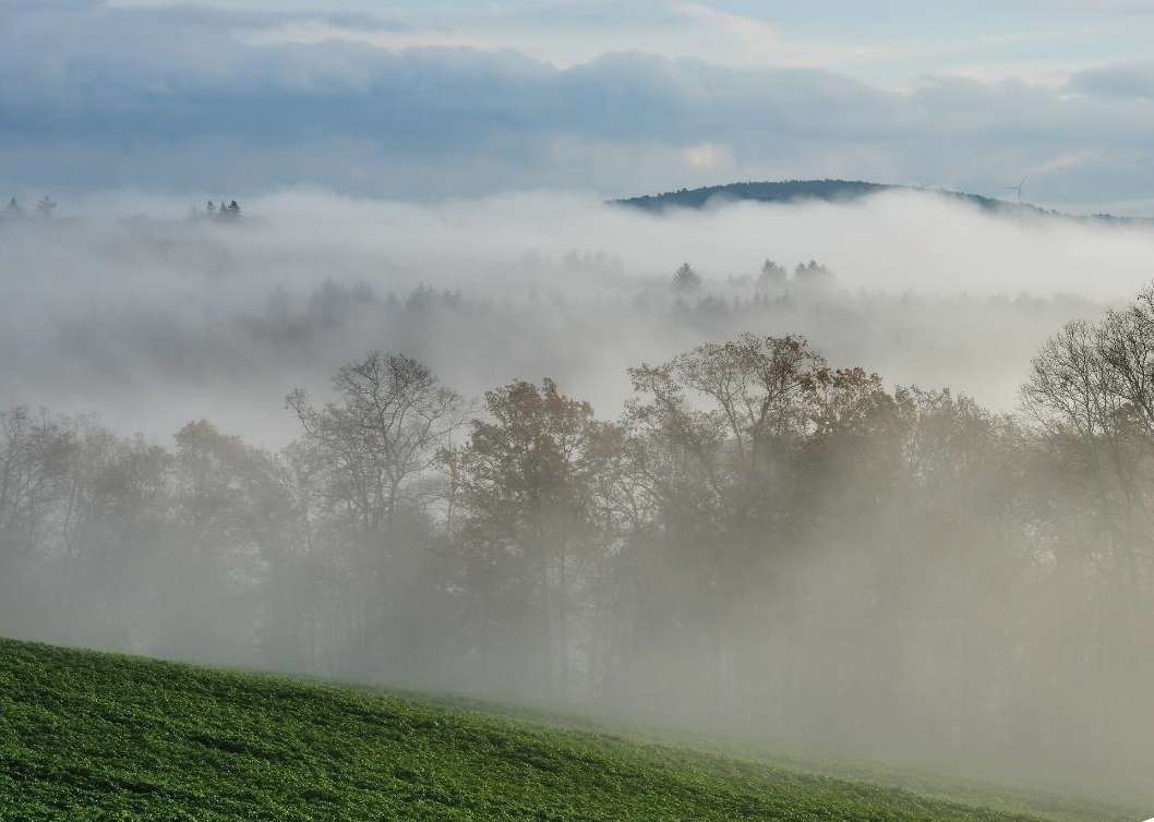 Wälder und Wiesen.jpg Wälder und Wiesen.jpg