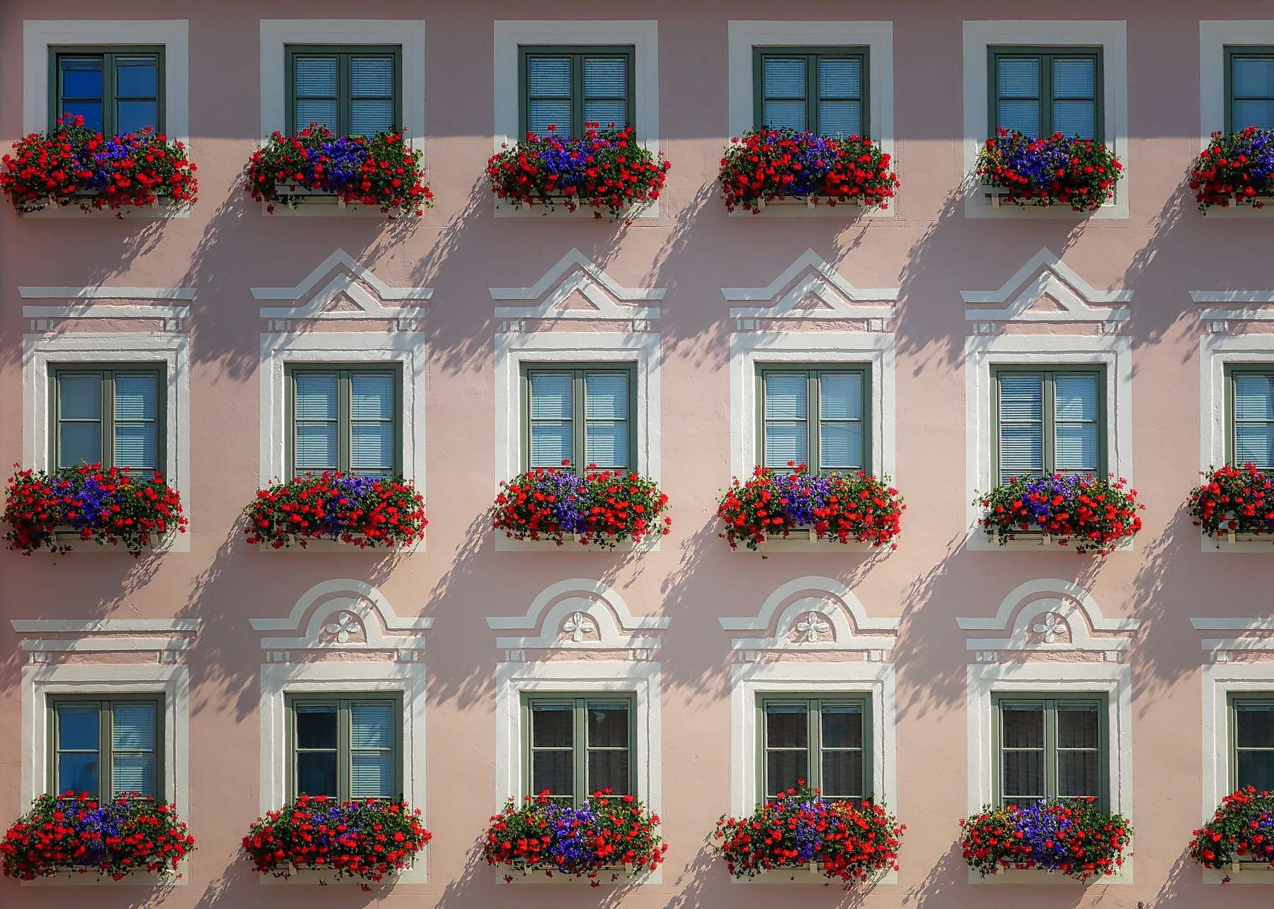 Zahlreiche Blüten, keine Nahrung für Insekten.jpg Zahlreiche Blüten, keine Nahrung für Insekten.jpg