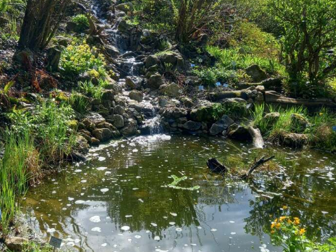 Botanischer Garten.png Botanischer Garten.png