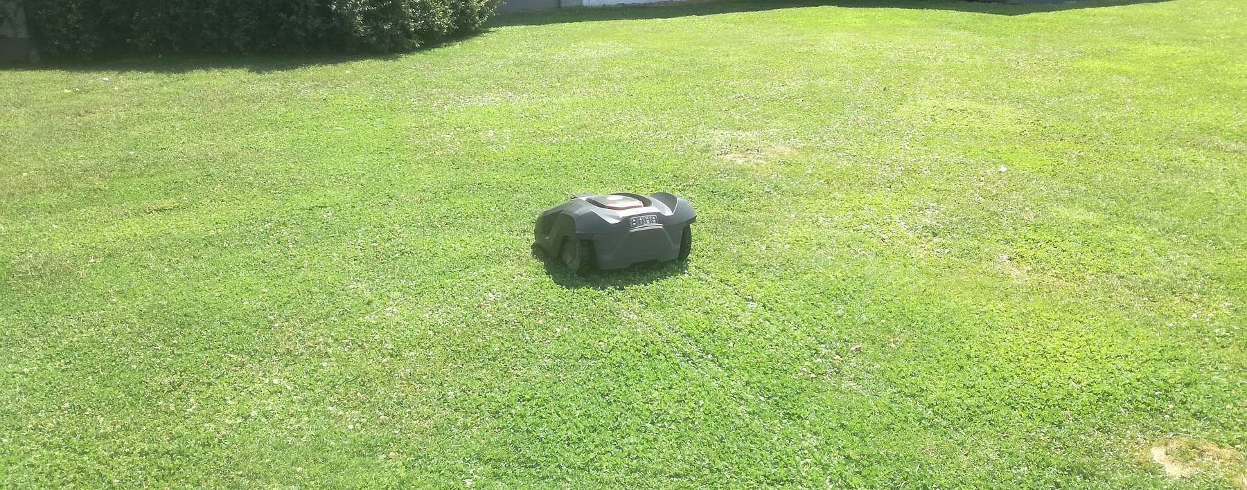 "Mähroboter – gepflegter Rasen" – keine Chance für Lebewesen..jpg "Mähroboter – gepflegter Rasen" – keine Chance für Lebewesen..jpg