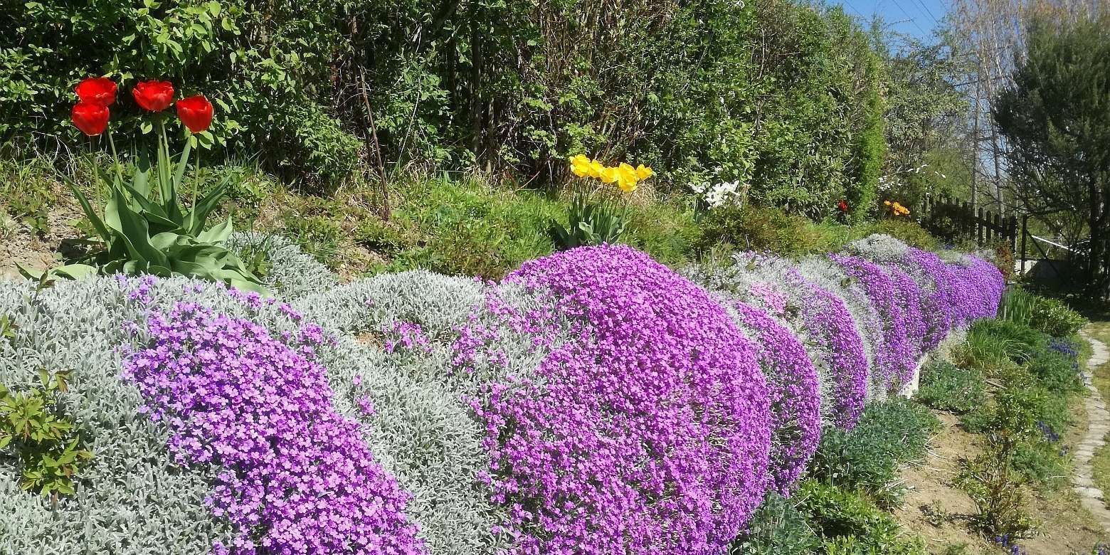 Steigerung der Biodiversität – jeder kann/muss einen Beitrag leisten!.jpg Steigerung der Biodiversität – jeder kann/muss einen Beitrag leisten!.jpg